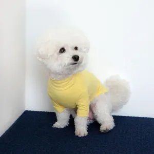 Body Warm Turtleneck in Lemon Yellow (FINAL SALE)