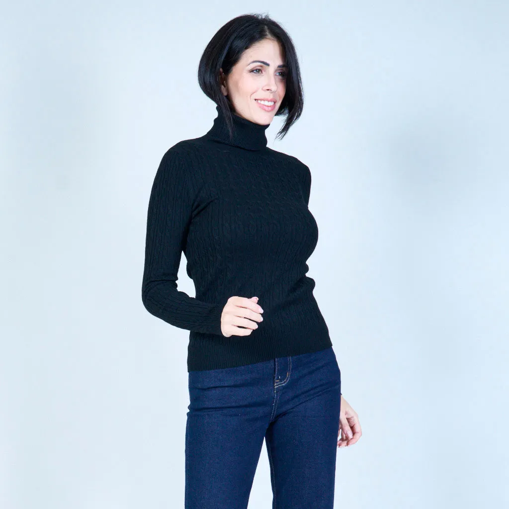 Cable-knit sweater with turtleneck wholesale