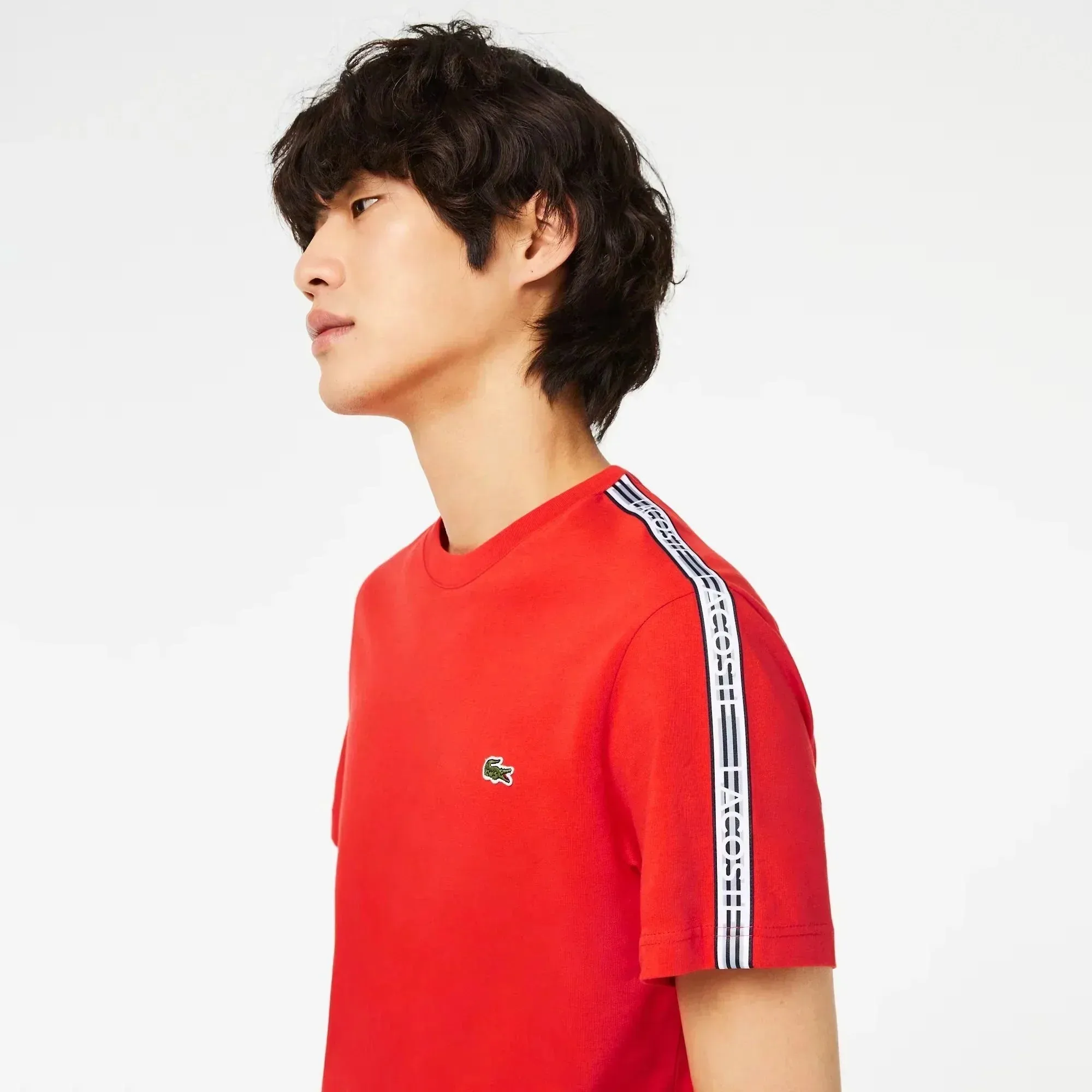 Lacoste Regular Fit Logo Stripe T-Shirt